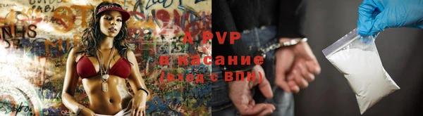 спиды Верея