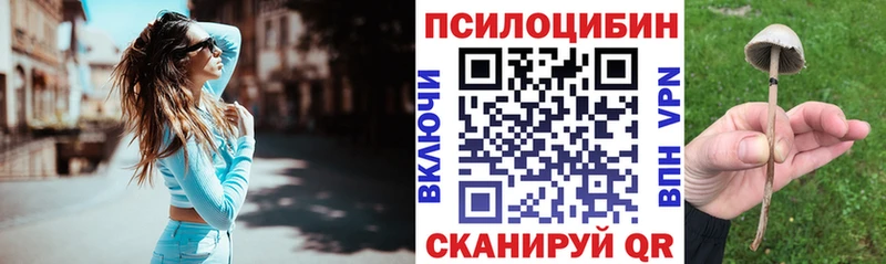 купить наркотик  ссылка на мегу зеркало  Псилоцибиновые грибы мухоморы  Партизанск 